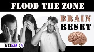 FLOOD THE ZONE - RESET THE BRAIN - ריסט למוח