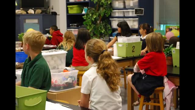 Trigger words & symbols of MK Ultra 🔫 Jewel Programming mind control 🔫 MKultra victims glitch