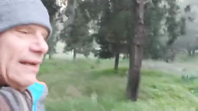 בוקר טוב עם סגולה | Ze Ev Lavee |