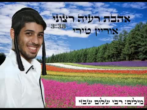 אהבת רעיה רצוני - אוריאן טירי