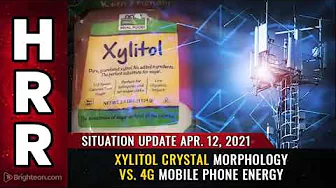 כיצד קרינה סלולרית משפיעה על קריסטלים - Xylitol crystal morphology vs. 4G mobile phone energy (תרגום אוטו')