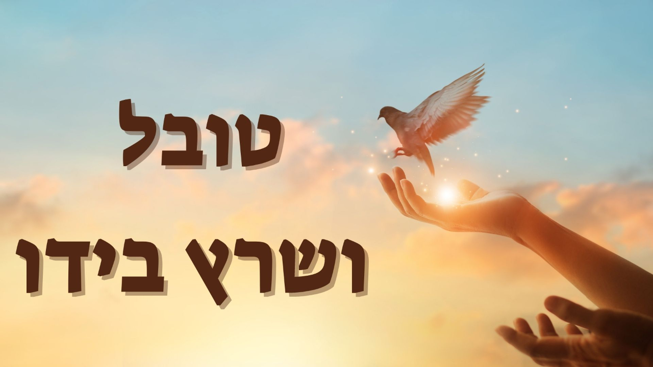 טובל ושרץ בידו