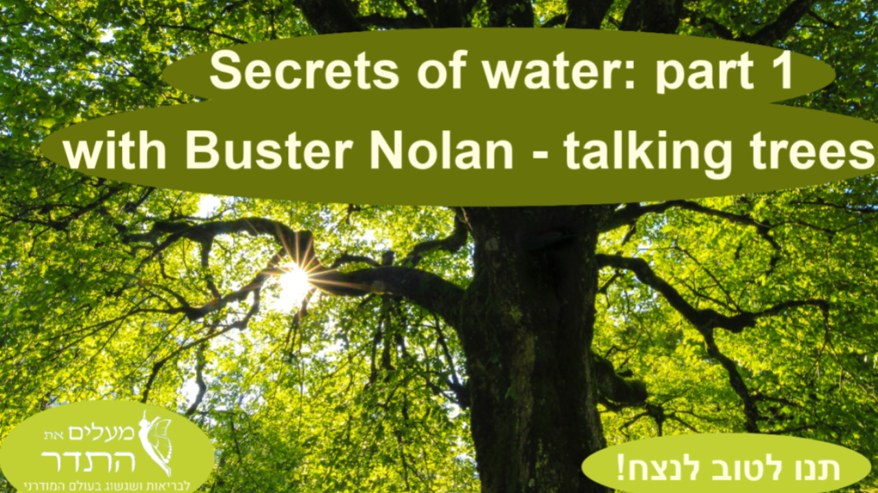 Secrets of water: part 1 - with Buster Nolan  talking trees