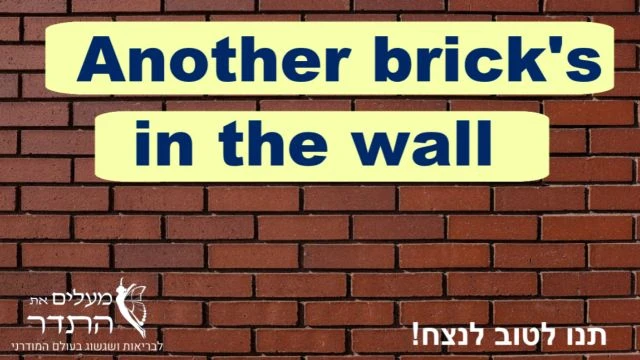 another bricks in the wall on 14-Feb-24