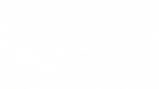 תומכים ב ALIVE528 והופכים לשותפים להמשך הדרך