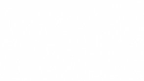 Automatic Video Dubbing in All Languages: The Revolution of ALIVE528