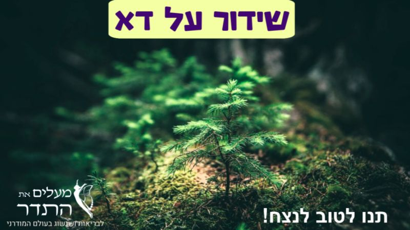 שידור על דא on 27-Apr-25