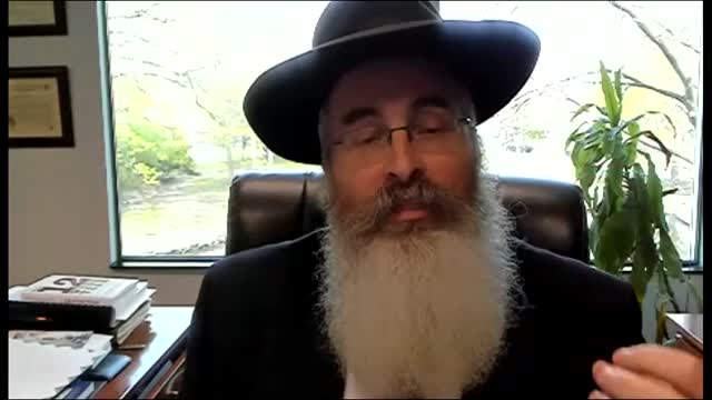 Historic Zoom - Holocaust survivor Mrs. Vera Sharav, German doctor Dr. Bodo Schiffman and Rabbi Yitzchok Dovid Smith