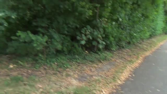 Massacre d'Oradour-sur-Glane par SS Alsaciens et Violences Alsaciennes Néo-Nazies d'Aujourd'hui 2018
