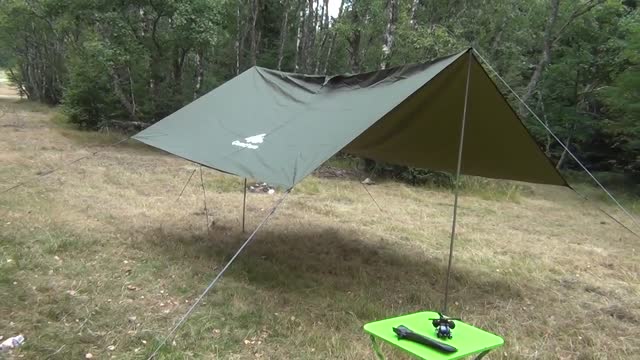 Tarp is a No Go for Travels, Dead Viper, Wild Baby Deer and Breadcatching Stork