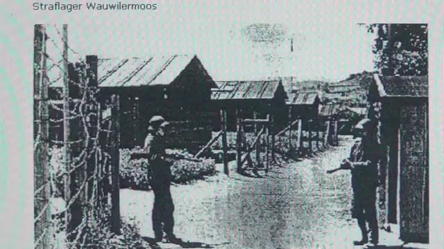 US POW/MIA Swiss Internees in Switzerland`s Concentration Camps & Pro Nazi Swiss Red Cross
