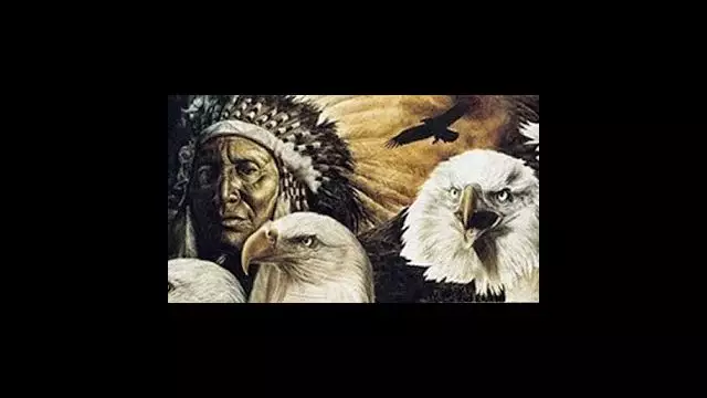 Why Eagle Feathers contain 20th Century Aerodynamics of a Modern Airoplane? The Concept of Creation.