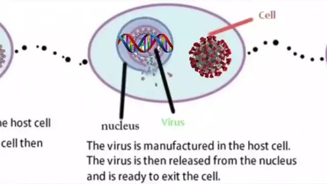 Fabled Enemies - The Virus Narrative Smashed to Smithereens - 2021