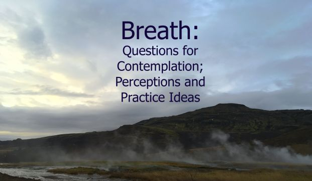 Breath Questions for Contemplation Perceptions and Practice Ideas
