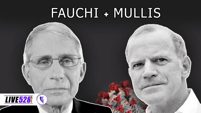 FAUCHI+MULLIS