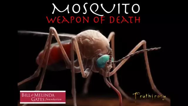 Mosquito Flying Angel of Death 2021 (24-8-2020)