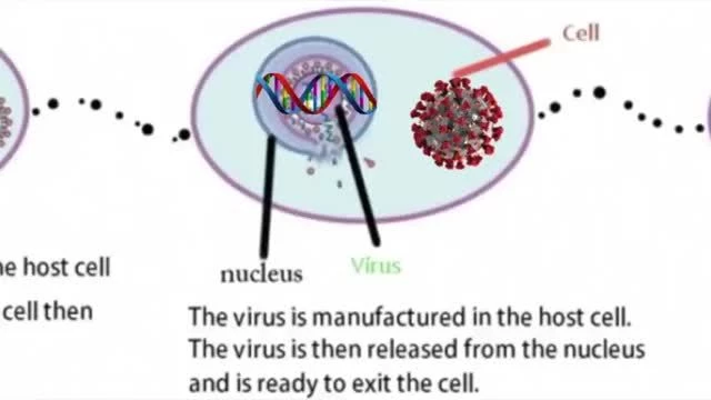 Virology Debunks Corona (08-4-2021)
