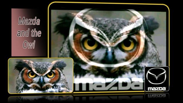 the MAZDA logo & the owl eyebrows || הלוגו של מאזדה - וגבות הינשוף