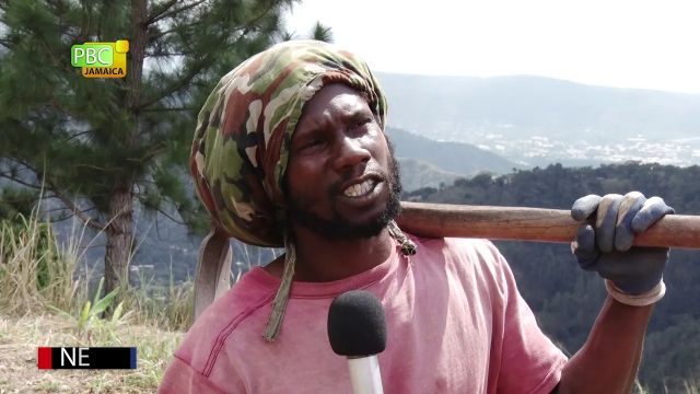 Rasta Camp Speaks about  COVID-19 | Part 1
