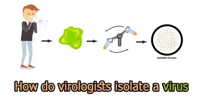 How do virologists isolate a virus