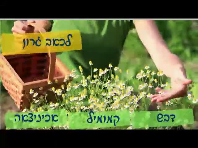 טיפים להחלמה בבית ממחלה ויראלית