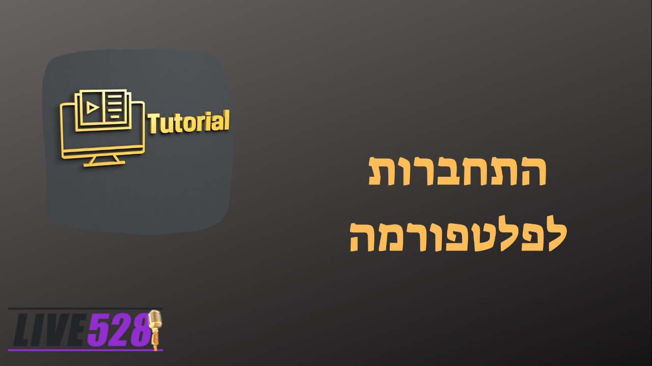 התחברות ALIVE528 מדריך