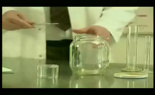 fleas in a jar