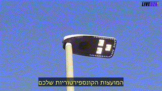 MARK STEELE  -  POLLINATORS AND FISHING GET ATTACK.(מתורגם)