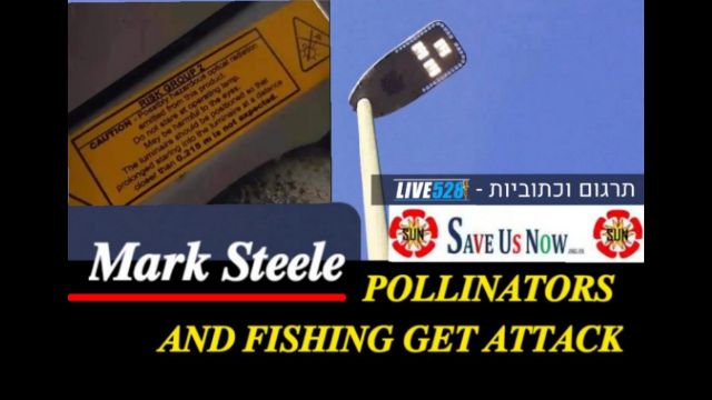 MARK STEELE  -  POLLINATORS AND FISHING GET ATTACK.(מתורגם)