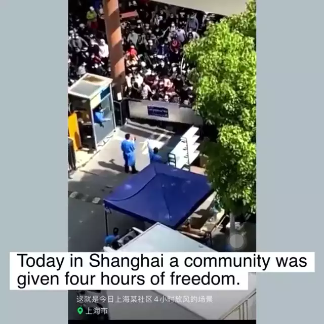 Shanghai: 4 Stunden Freiheit