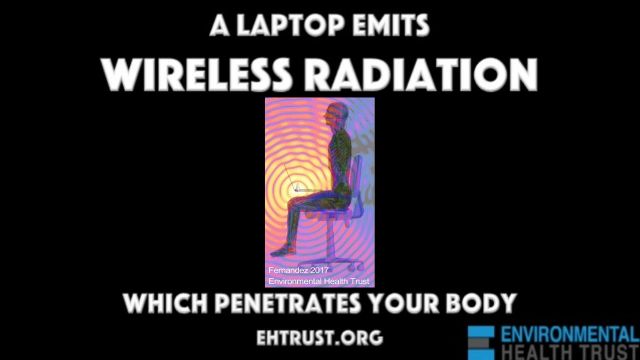 Laptops Emit Radiation