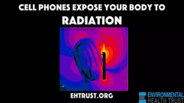 Cell Phone Radiation Penetrates The Brain