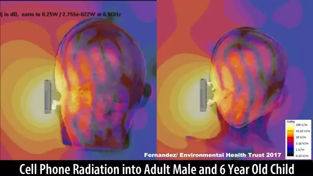 Cell Phone Radiation Into the Brain of an Adult and Child
