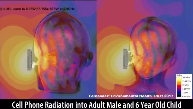 Cell Phone Radiation Into the Brain of an Adult and Child
