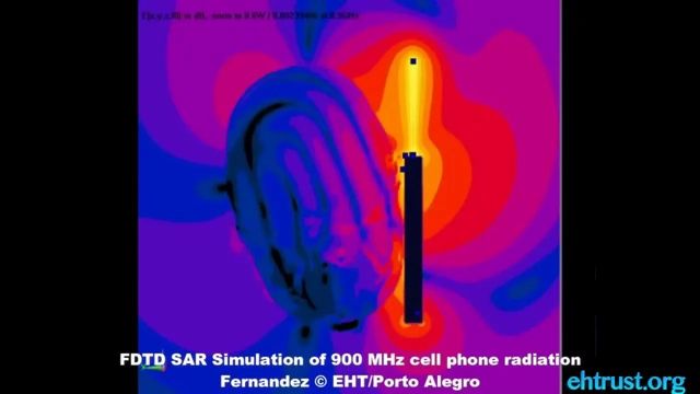 Radiofrequency Radiation/FDTD SAR Simulation of a 900 MHz cell phone