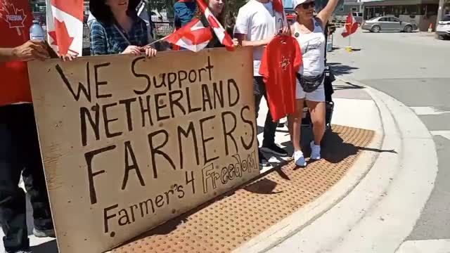 Kanadier unterstützen die Bauern-Proteste in den Niederlanden