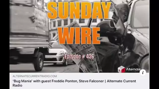 Sunday Wire Bug Mania with Spacebusters & Freddie Ponton (Spacebusters) 19-7-2022