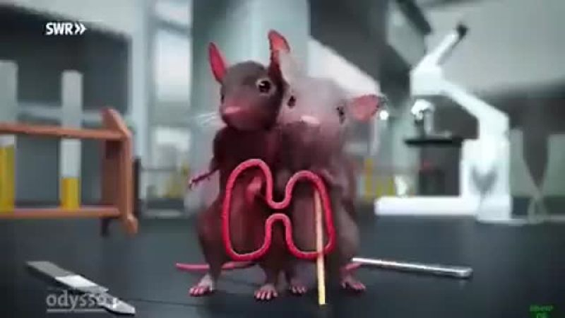 Adrenochrome ist selbstverständlich eine Verschwörungstheorie