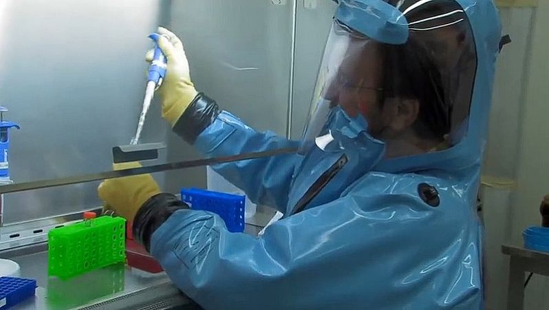 Boston University erschafft neuen, noch tödlicheren Covid-Stamm