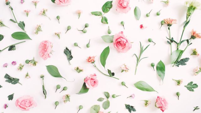 white pink green floral background