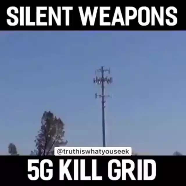 5G kill grid