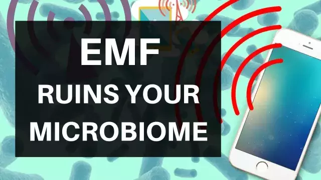 EMF Ruins Your Microbiome: Wifi, Cellphones & Your Bacteria