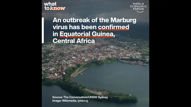 WEF erklärt das Marburg Virus