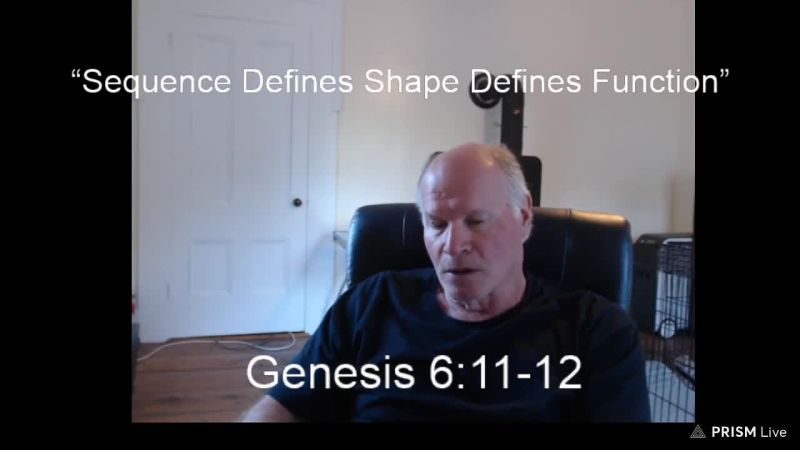 Anthony Patch Live Stream - Sequence Defines Shape Defines Function - 5-28-23