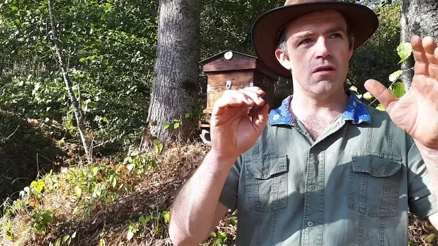 Magnetoculture how to improve and protect bee hives with copper bands and magnets