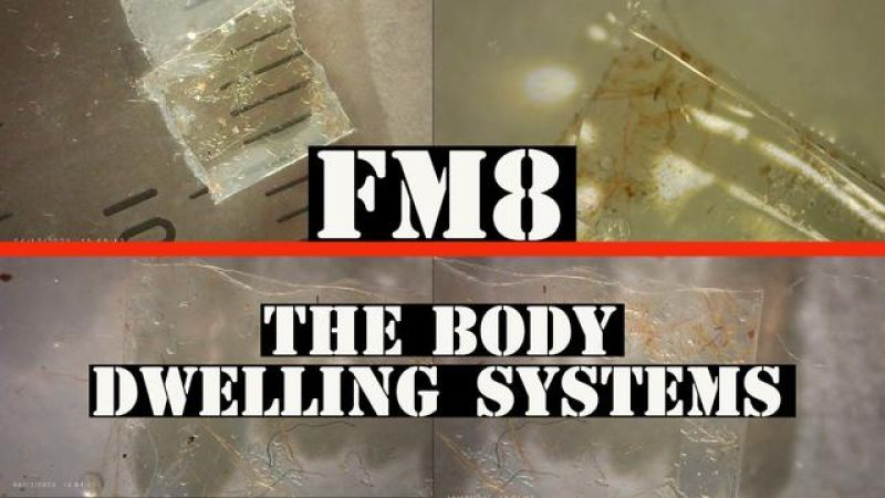 FOLLOW UP AND FINDINGS REVIEW WITH TONY P.