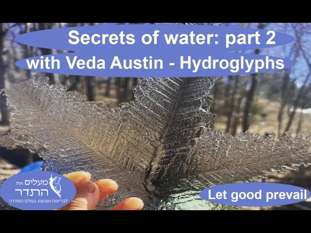 Secrets of water: part 2  with Veda Austin - Hydroglyphs