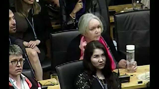 Claire Edwards addressing UN Secretary General about WIFI dangers