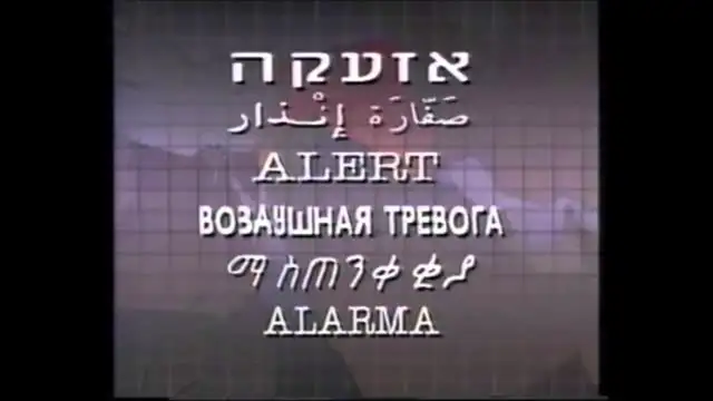 מלחמת המפרץ 1991, ''נחש צפע'', אזעקה פורצת ברדיו והוראות לכניסה לחדר האטום - Gulf War, Israeli Alarm