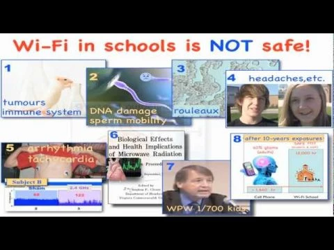 Dr. Magda Havas: WiFi in Schools is Safe.  True or False?